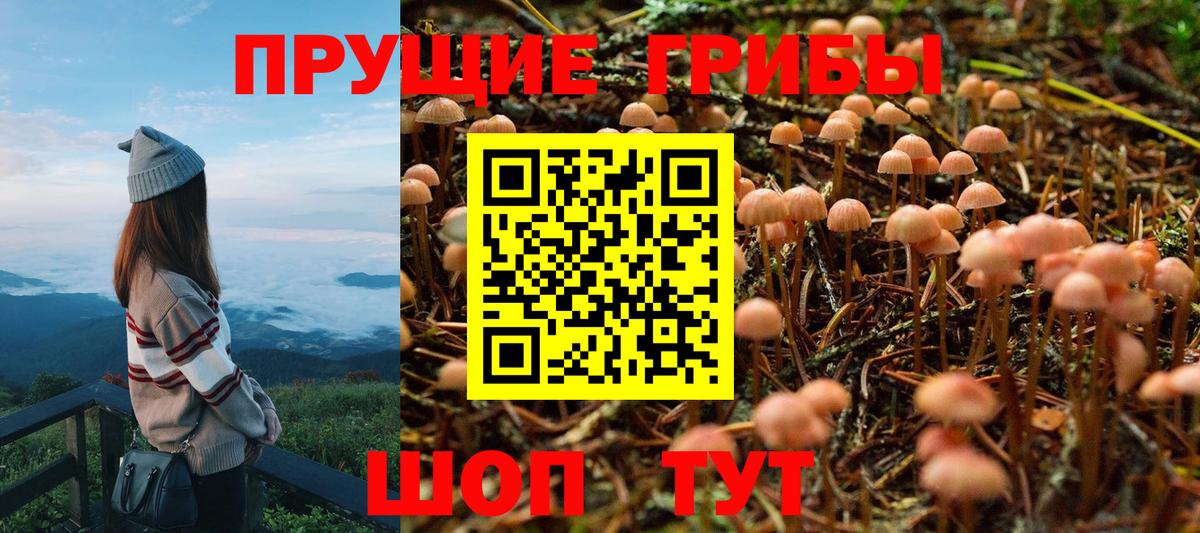 Псилоцибиновые грибы MAGIC MUSHROOMS Нижний Тагил